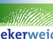 Incident crisisplaatsing cliënt bij Leekerweide
